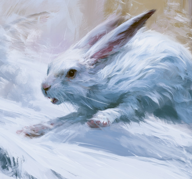 Snow Hare